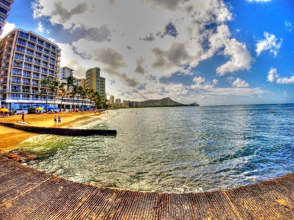 Waikiki Shore 515 Beachfront & Upgrade Daire Honolulu Dış mekan fotoğraf